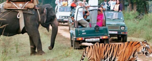 Parcs nationaux de l'Inde