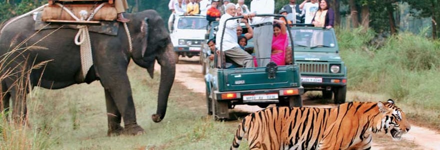 Parcs nationaux de l'Inde