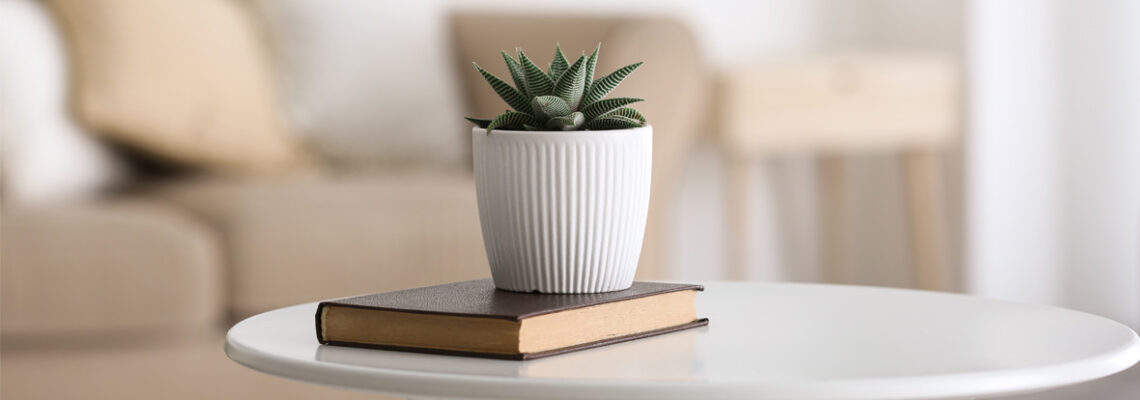 table avec un pied en métal