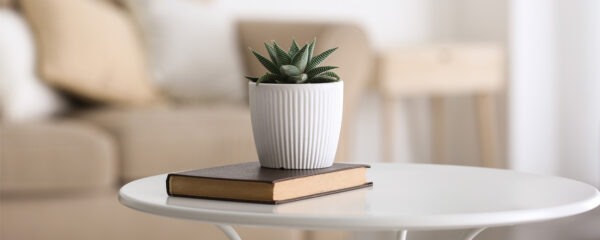 table avec un pied en métal