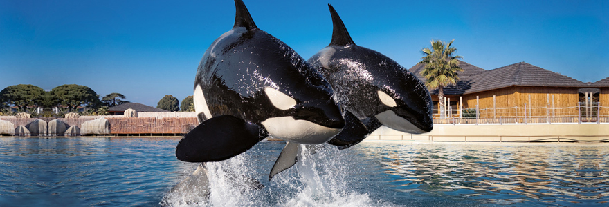 parc aquatique Marineland