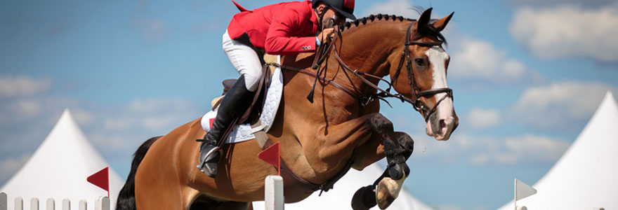 Pratique des sports équestres